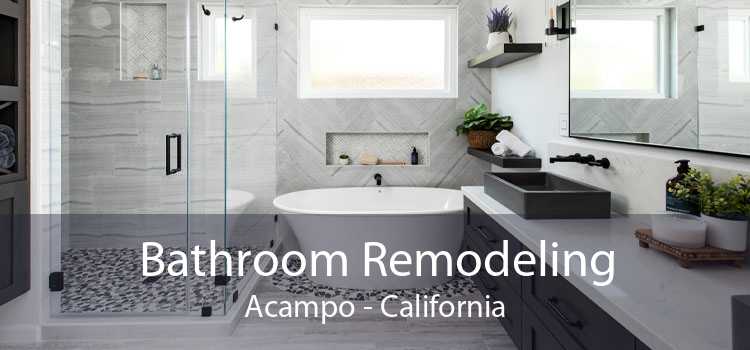 Bathroom Remodeling Acampo - California