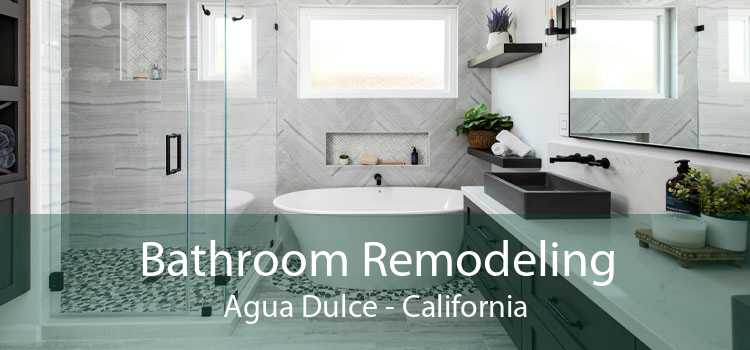 Bathroom Remodeling Agua Dulce - California