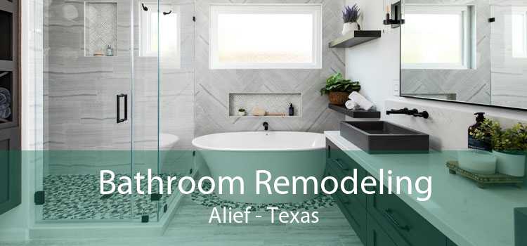 Bathroom Remodeling Alief - Texas