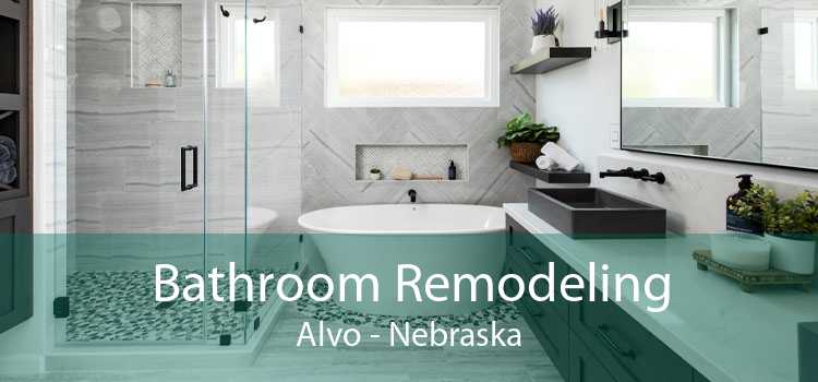 Bathroom Remodeling Alvo - Nebraska