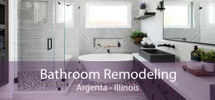 Bathroom Remodeling Argenta - Illinois