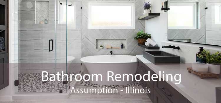 Bathroom Remodeling Assumption - Illinois