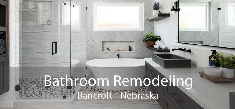 Bathroom Remodeling Bancroft - Nebraska