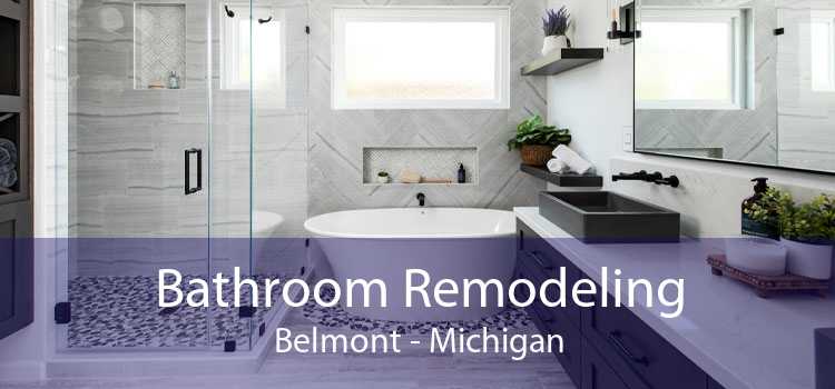 Bathroom Remodeling Belmont - Michigan