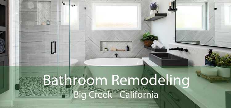 Bathroom Remodeling Big Creek - California