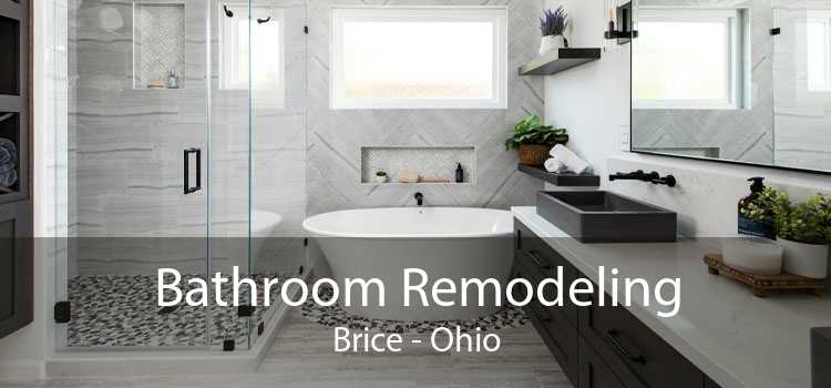 Bathroom Remodeling Brice - Ohio