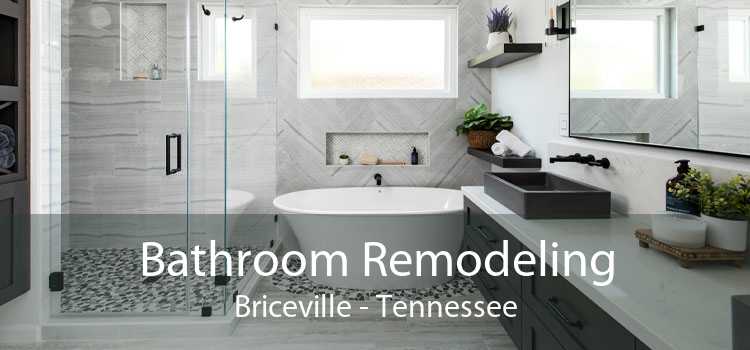 Bathroom Remodeling Briceville - Tennessee