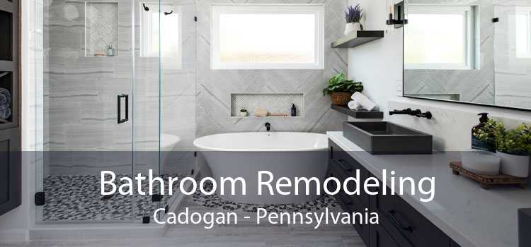 Bathroom Remodeling Cadogan - Pennsylvania