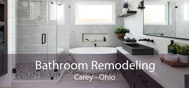 Bathroom Remodeling Carey - Ohio