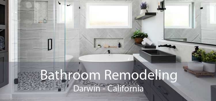 Bathroom Remodeling Darwin - California