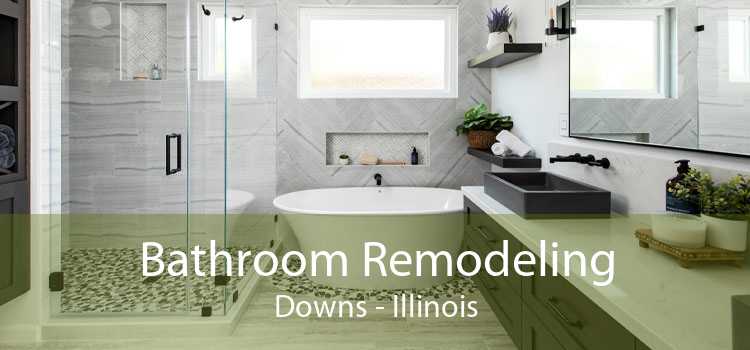 Bathroom Remodeling Downs - Illinois