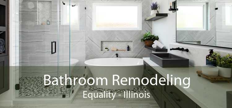 Bathroom Remodeling Equality - Illinois