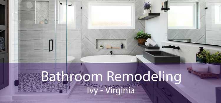 Bathroom Remodeling Ivy - Virginia