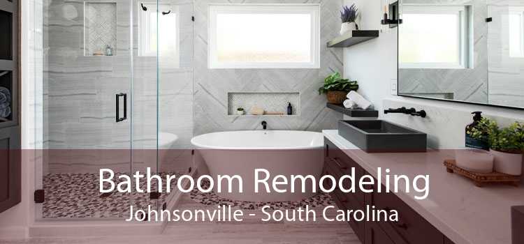 Bathroom Remodeling Johnsonville - South Carolina