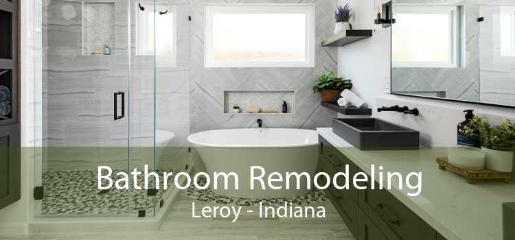 Bathroom Remodeling Leroy - Indiana