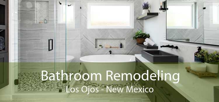 Bathroom Remodeling Los Ojos - New Mexico