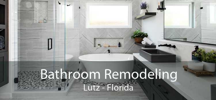 Bathroom Remodeling Lutz - Florida