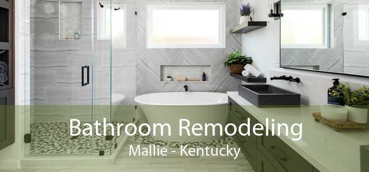 Bathroom Remodeling Mallie - Kentucky