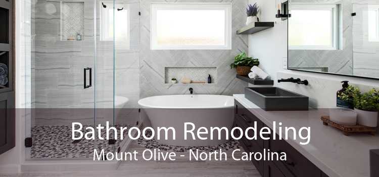 Bathroom Remodeling Mount Olive - North Carolina