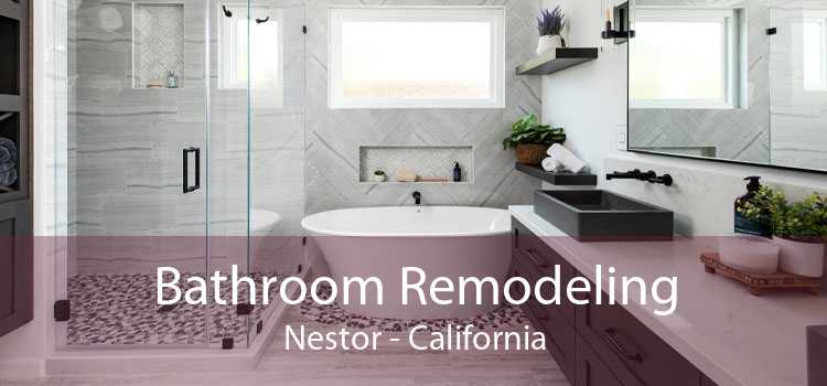 Bathroom Remodeling Nestor - California