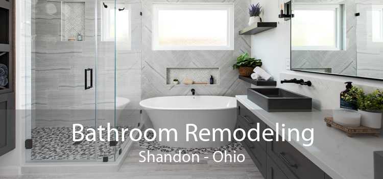 Bathroom Remodeling Shandon - Ohio