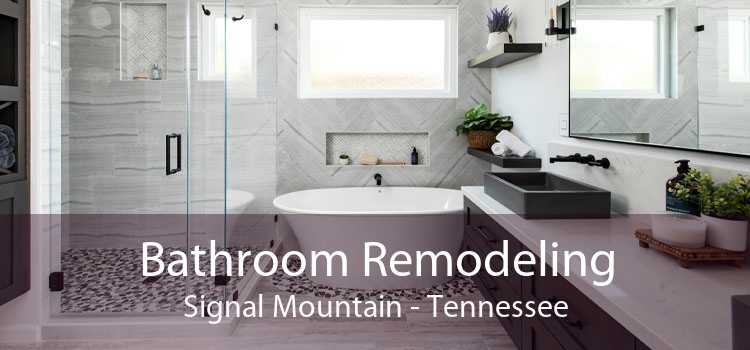 Bathroom Remodeling Signal Mountain - Tennessee