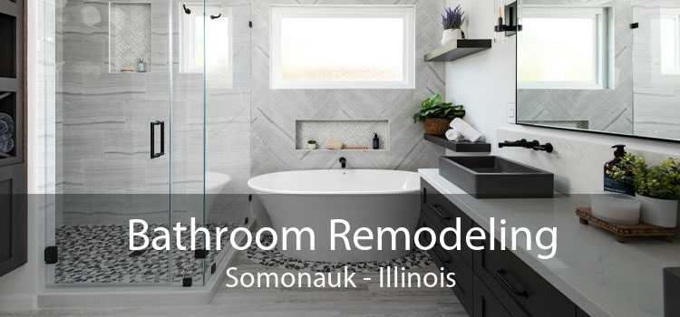 Bathroom Remodeling Somonauk - Illinois
