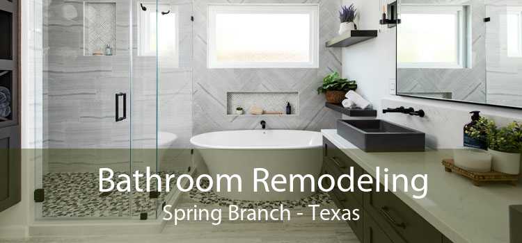 Bathroom Remodeling Spring Branch - Texas