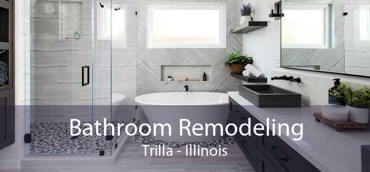 Bathroom Remodeling Trilla - Illinois