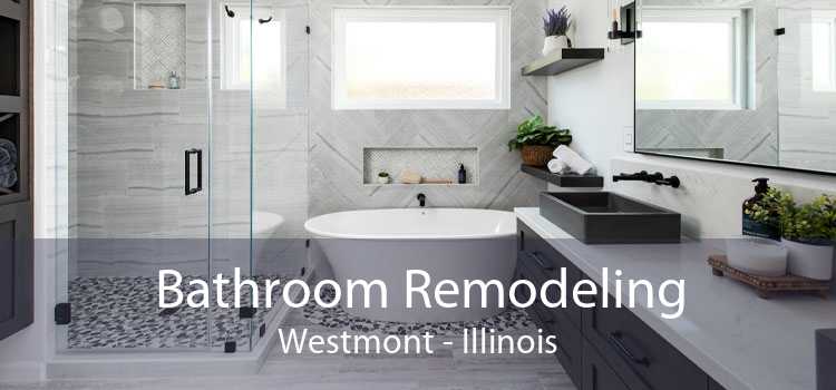 Bathroom Remodeling Westmont - Illinois