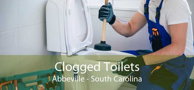 Clogged Toilets Abbeville - South Carolina