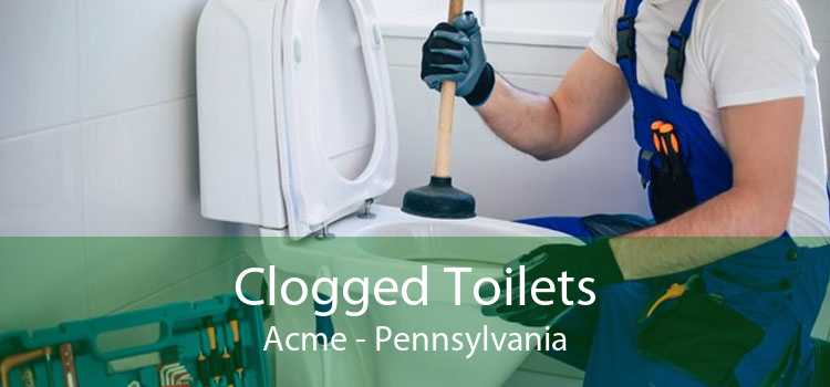 Clogged Toilets Acme - Pennsylvania