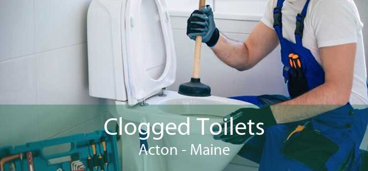 Clogged Toilets Acton - Maine