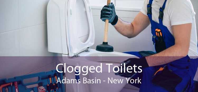 Clogged Toilets Adams Basin - New York