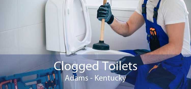 Clogged Toilets Adams - Kentucky