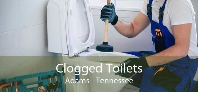 Clogged Toilets Adams - Tennessee