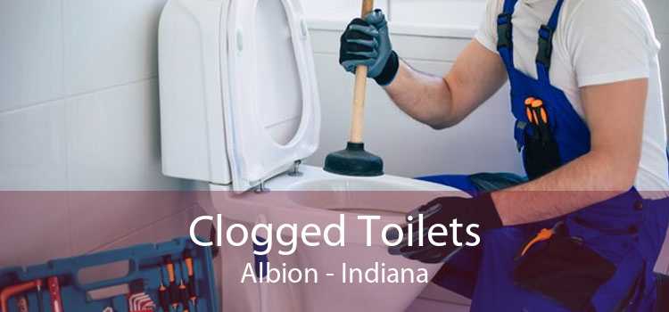 Clogged Toilets Albion - Indiana