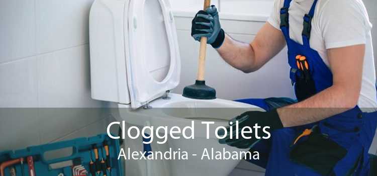 Clogged Toilets Alexandria - Alabama