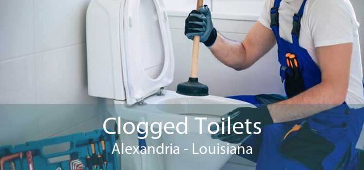 Clogged Toilets Alexandria - Louisiana