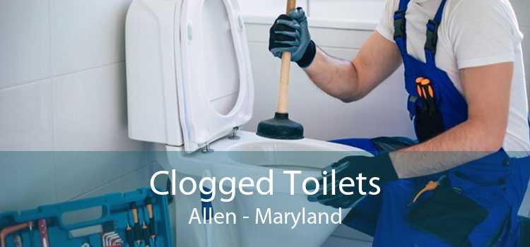 Clogged Toilets Allen - Maryland