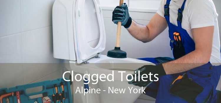 Clogged Toilets Alpine - New York