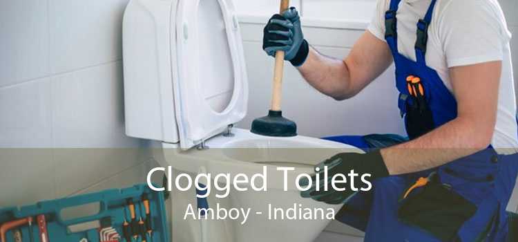 Clogged Toilets Amboy - Indiana
