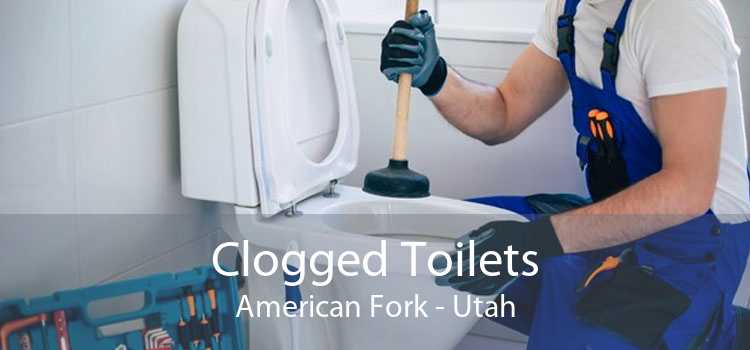 Clogged Toilets American Fork - Utah