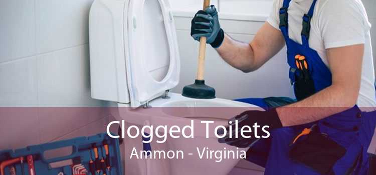 Clogged Toilets Ammon - Virginia