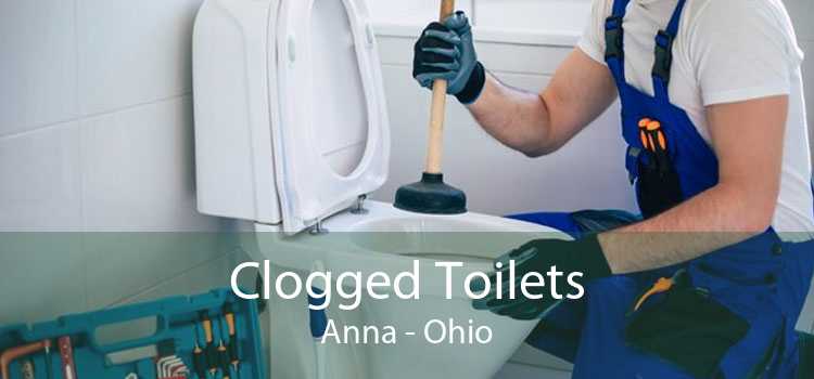 Clogged Toilets Anna - Ohio
