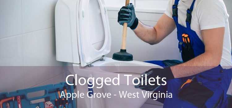 Clogged Toilets Apple Grove - West Virginia