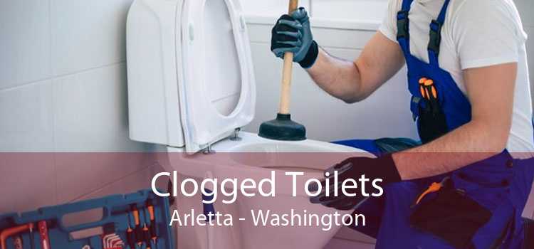 Clogged Toilets Arletta - Washington