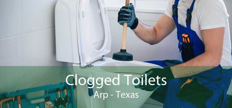 Clogged Toilets Arp - Texas