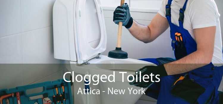 Clogged Toilets Attica - New York