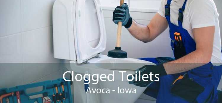 Clogged Toilets Avoca - Iowa